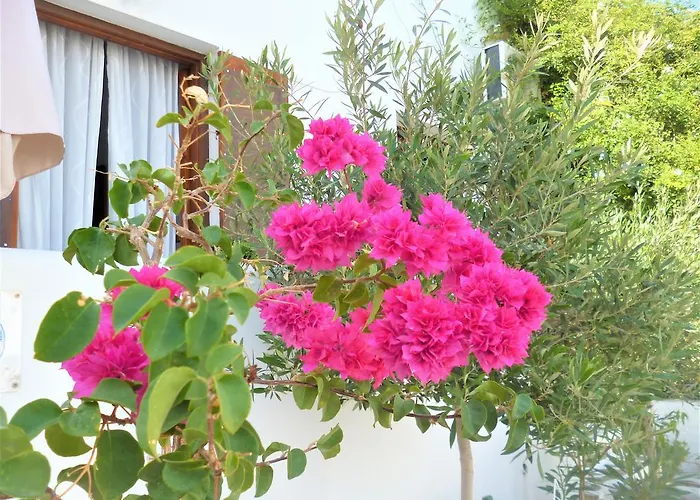 Olympian-apartments *